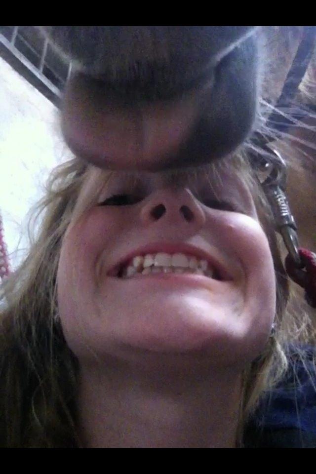 Hollandsk Sportspony Capello ivo billede 24