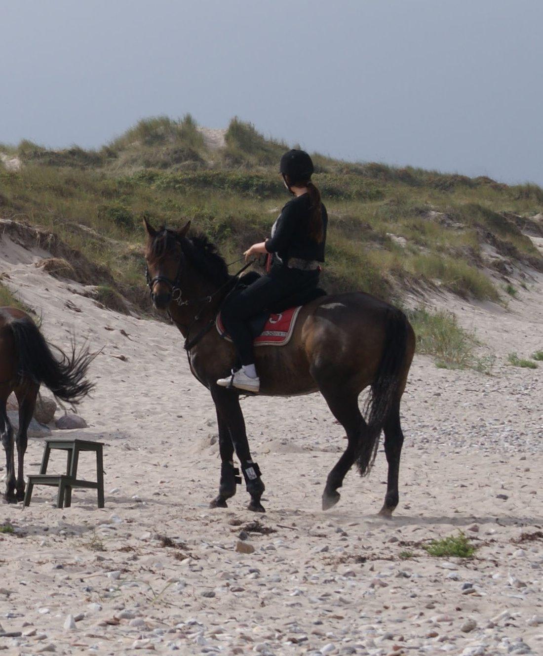 Anden særlig race Miss Fine Bine billede 5