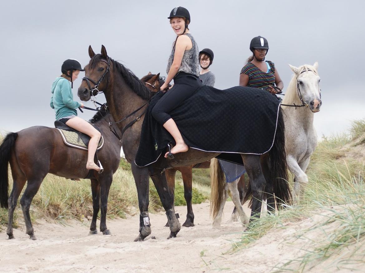 Anden særlig race Miss Fine Bine billede 11