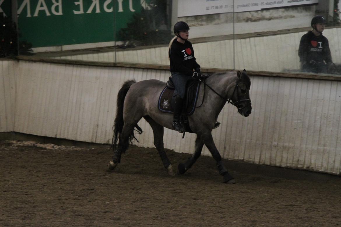 Anden særlig race S.I.R's Bertha billede 11