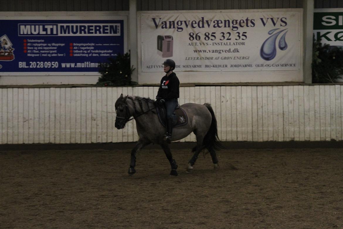 Anden særlig race S.I.R's Bertha billede 8