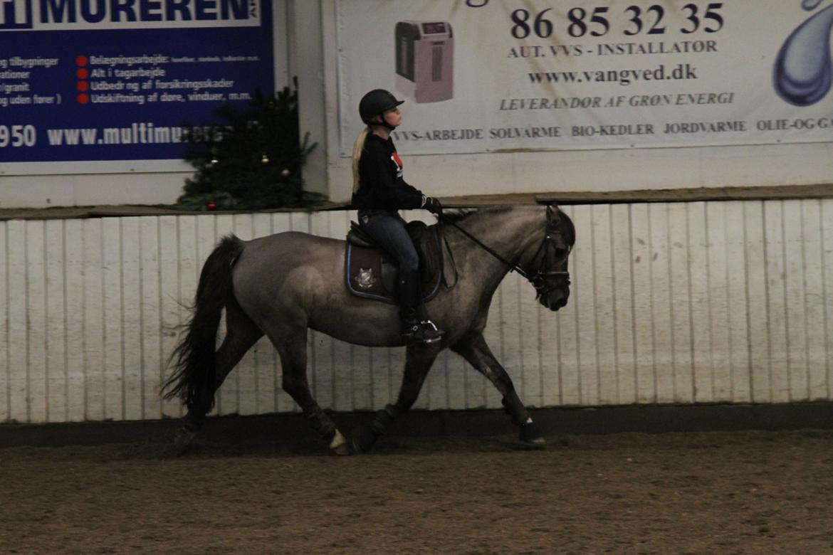 Anden særlig race S.I.R's Bertha billede 4