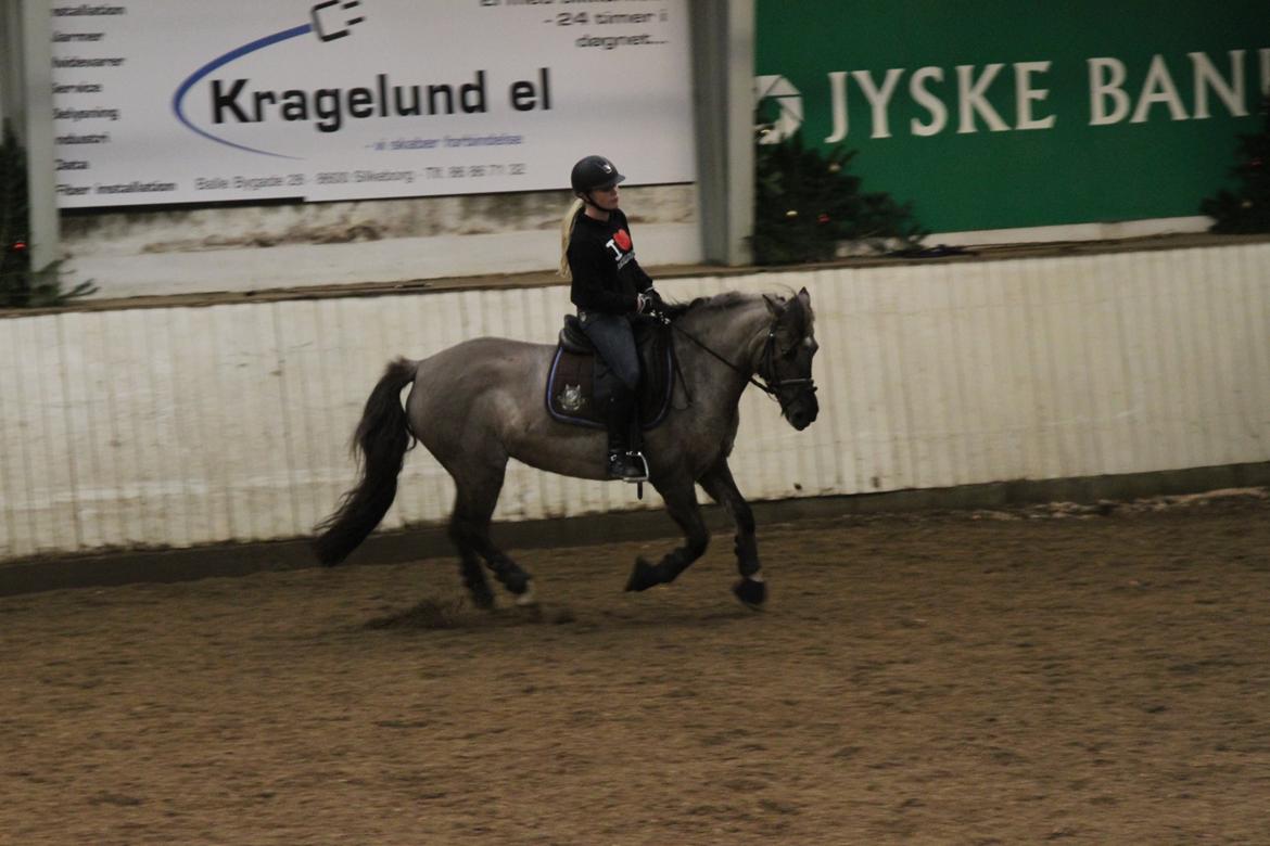 Anden særlig race S.I.R's Bertha billede 16