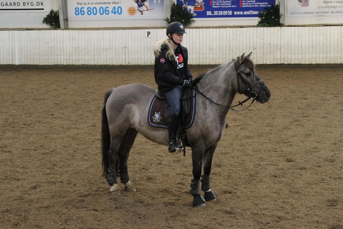 Anden særlig race S.I.R's Bertha - Tak for kigget du må meget gerne lægge en bedømmelse :) billede 18