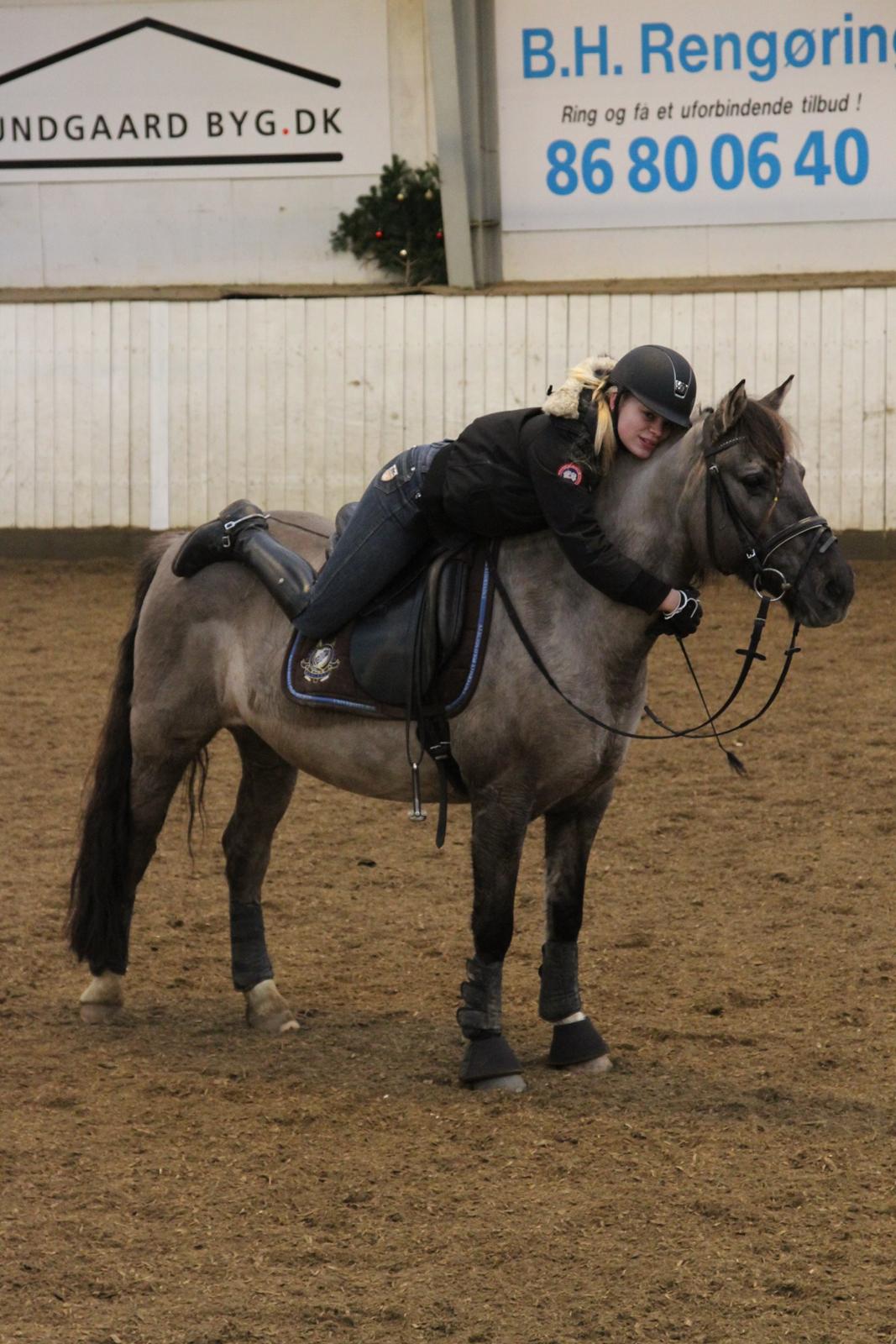 Anden særlig race S.I.R's Bertha - Hejsa og velkommen til Berthas profil :) billede 1