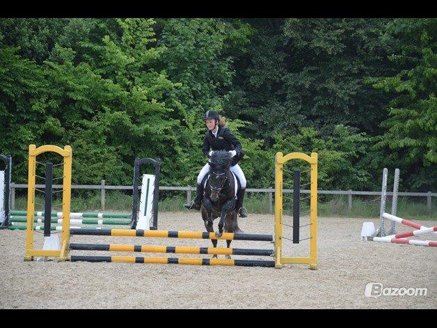 Tysk Sportspony Naranjo [Har redet] billede 8