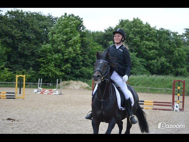 Tysk Sportspony Naranjo [Har redet] billede 10