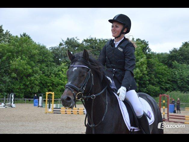 Tysk Sportspony Naranjo [Har redet] billede 11