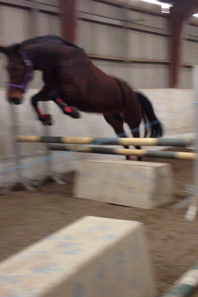 Oldenborg Krattetings Tresornell billede 19