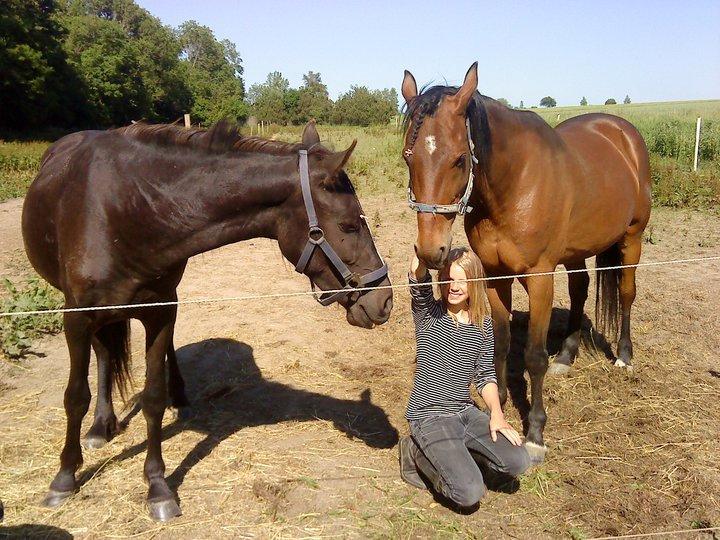 Traver Keystone L billede 3