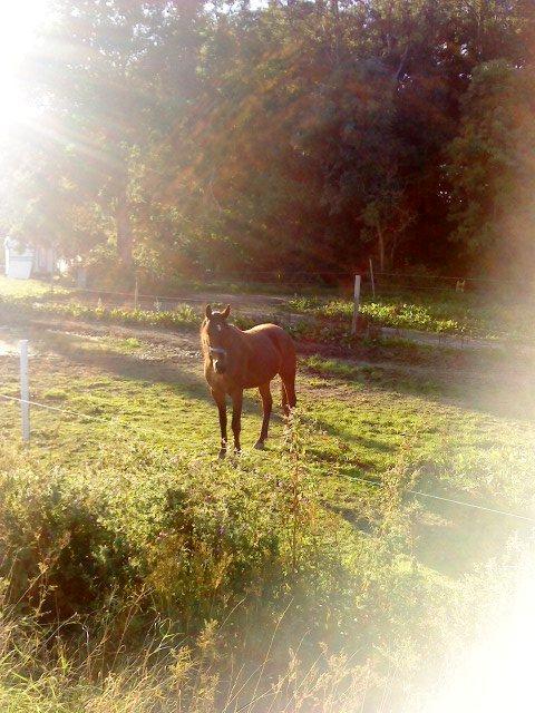 Traver Keystone L billede 4