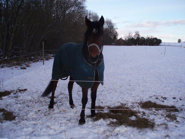 Traver Keystone L billede 9