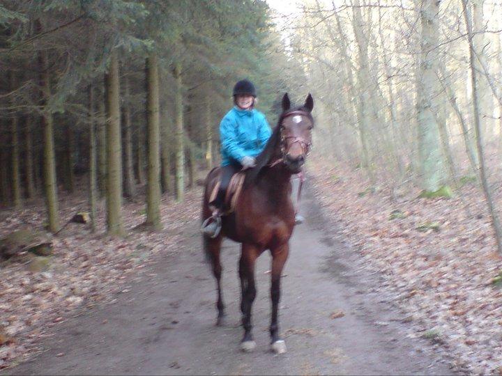 Traver Keystone L - Min 10 års fødselsdag. Den dag var magisk. Første gang jeg red på dig alene og jeg ønskede at den dag ville vare evigt. Jeg elsker dig Keystone.  billede 10