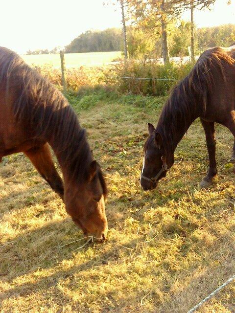 Traver Keystone L billede 13