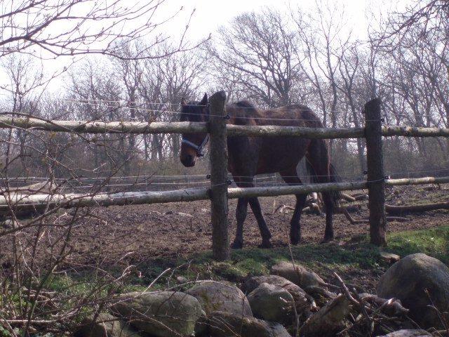 Traver Keystone L billede 16