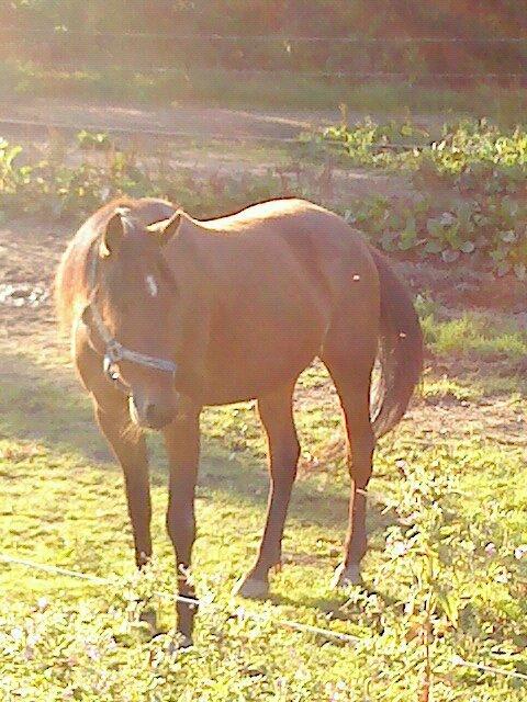 Traver Keystone L billede 18