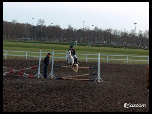 Anden særlig race Savages Isak Venture R.I.P elsket og altid savnet - ikke mig der springer på ham til info billede 16