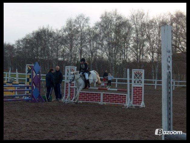 Anden særlig race Savages Isak Venture R.I.P elsket og altid savnet - ikke mig der springer på ham til info billede 17