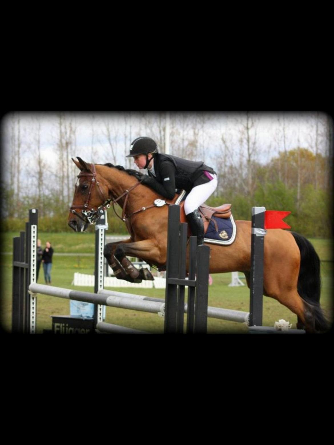 Anden særlig race Mr Playboy billede 11