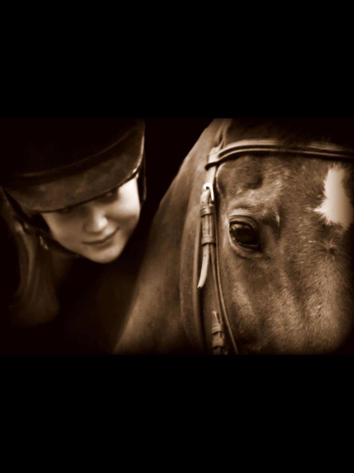 Anden særlig race Mr Playboy billede 14