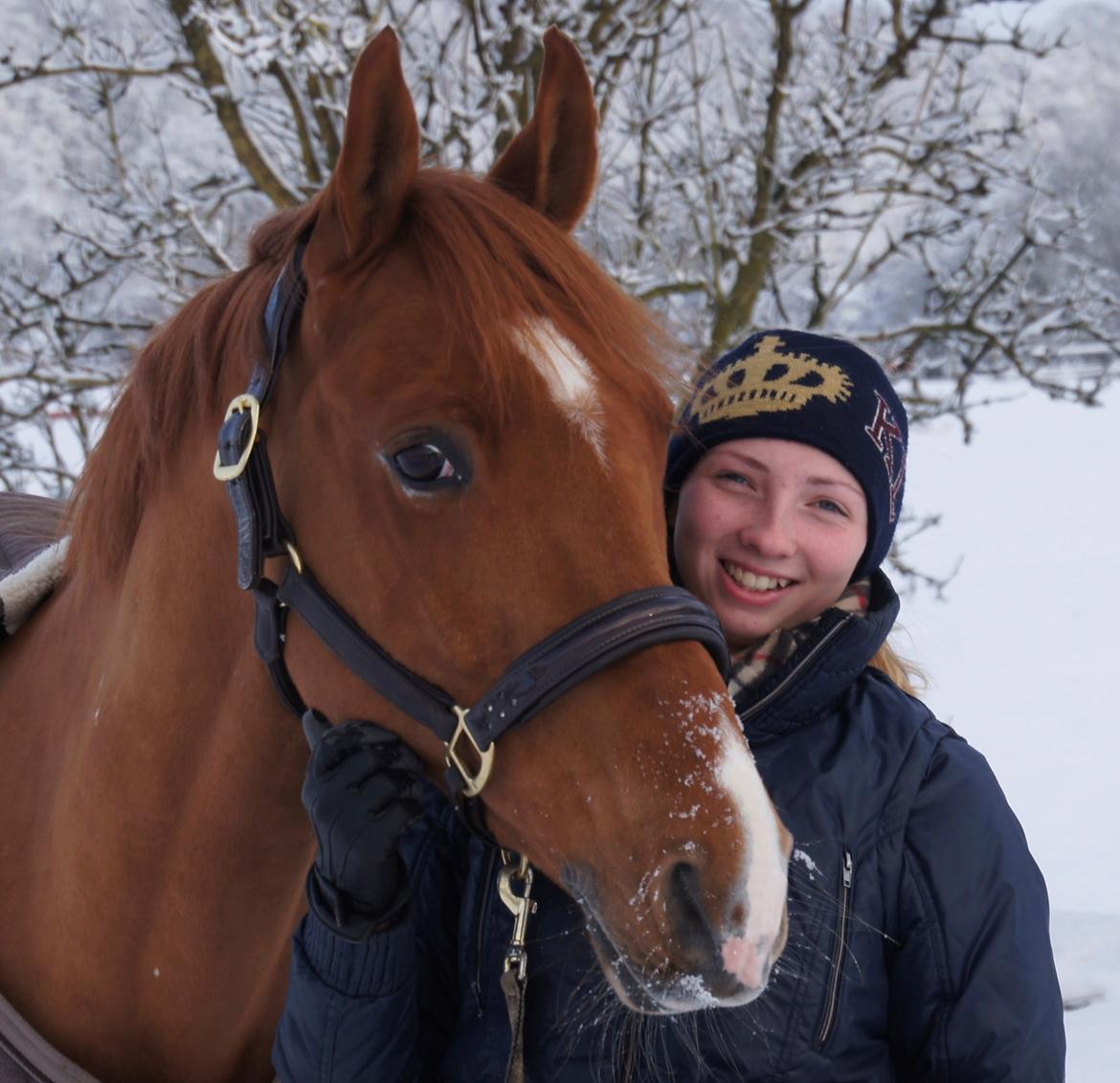 Welsh Pony (sec B) Konijenpad Rambo B-PONY - vinteren 2012 billede 14
