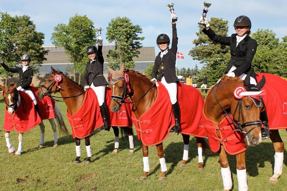Welsh Pony (sec B) Konijenpad Rambo B-PONY - Sydjyskemestre 2013 - Rambo og jeg havde holdets bedste resultat og samlet 2. bedste ud af 67 ryttere!  billede 5