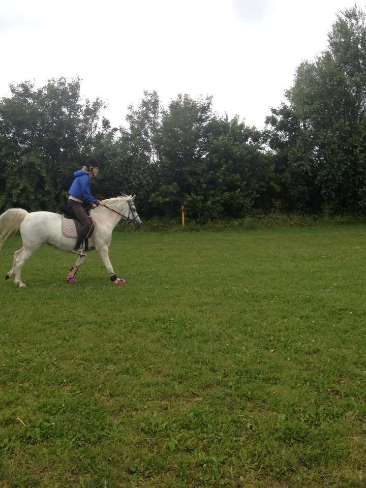 Anden særlig race Plet Farvel mit 1 og alt! </3 - Sidste jordetur Sommeren 13, vindere 3. år i træk! <3 BYE! :'( billede 16