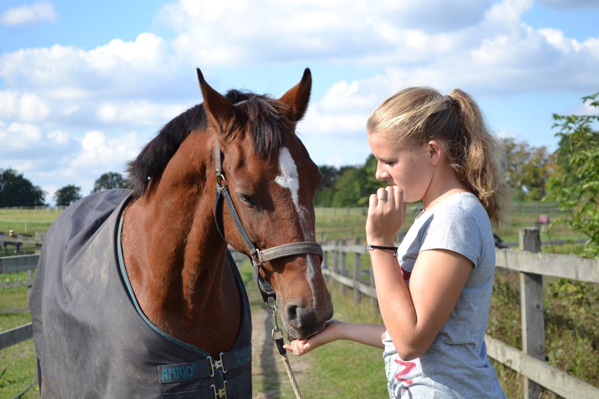Anden særlig race Dinar - Dette billeder beskriver vores fælles intelligens til UG haha - 
VELKOMMEN :D billede 1