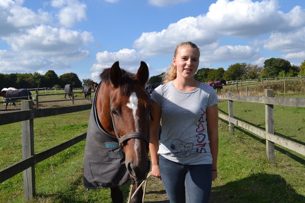 Anden særlig race Dinar - Ja vi føler den  billede 20