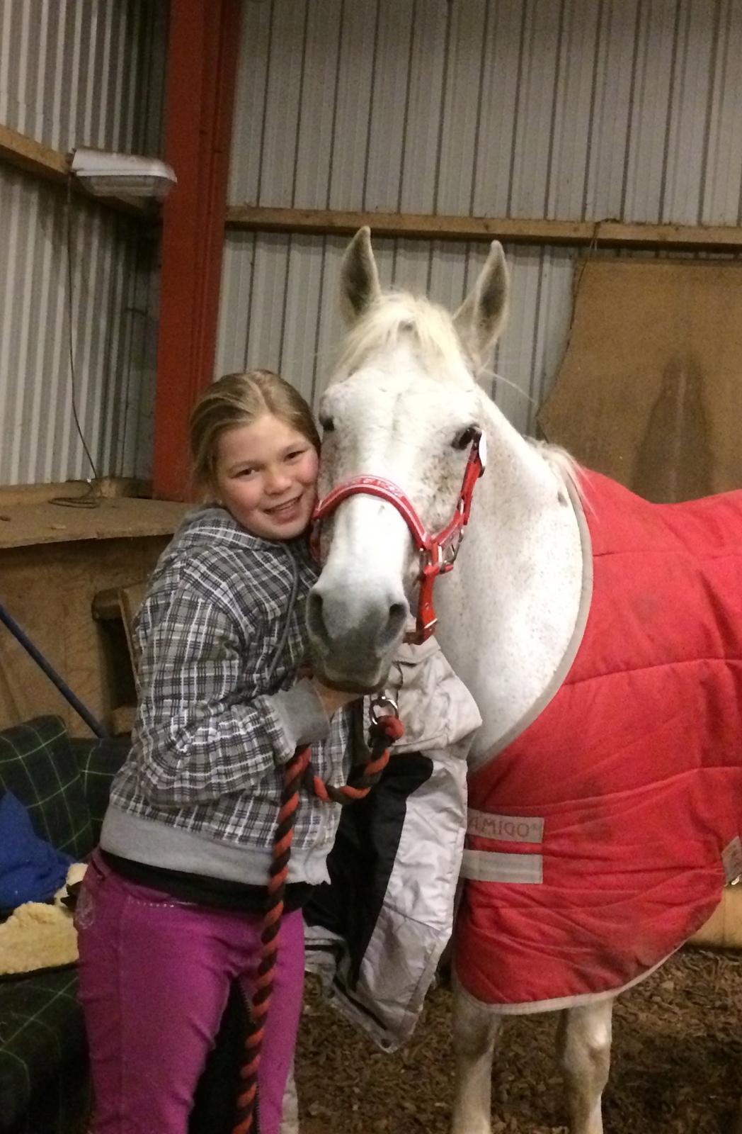 Anden særlig race Gadehøjs Caridee Himmelhest - Du er den bedste billede 8