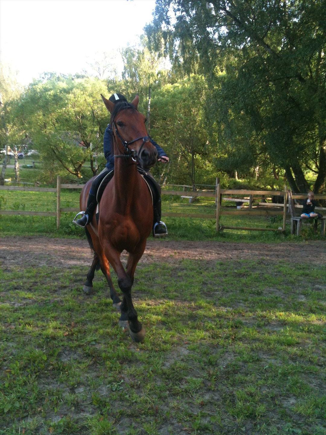 Traver Magic one - Ja, jeg har lært at sidde rigtigt med armene nu ;) heldigvis billede 8