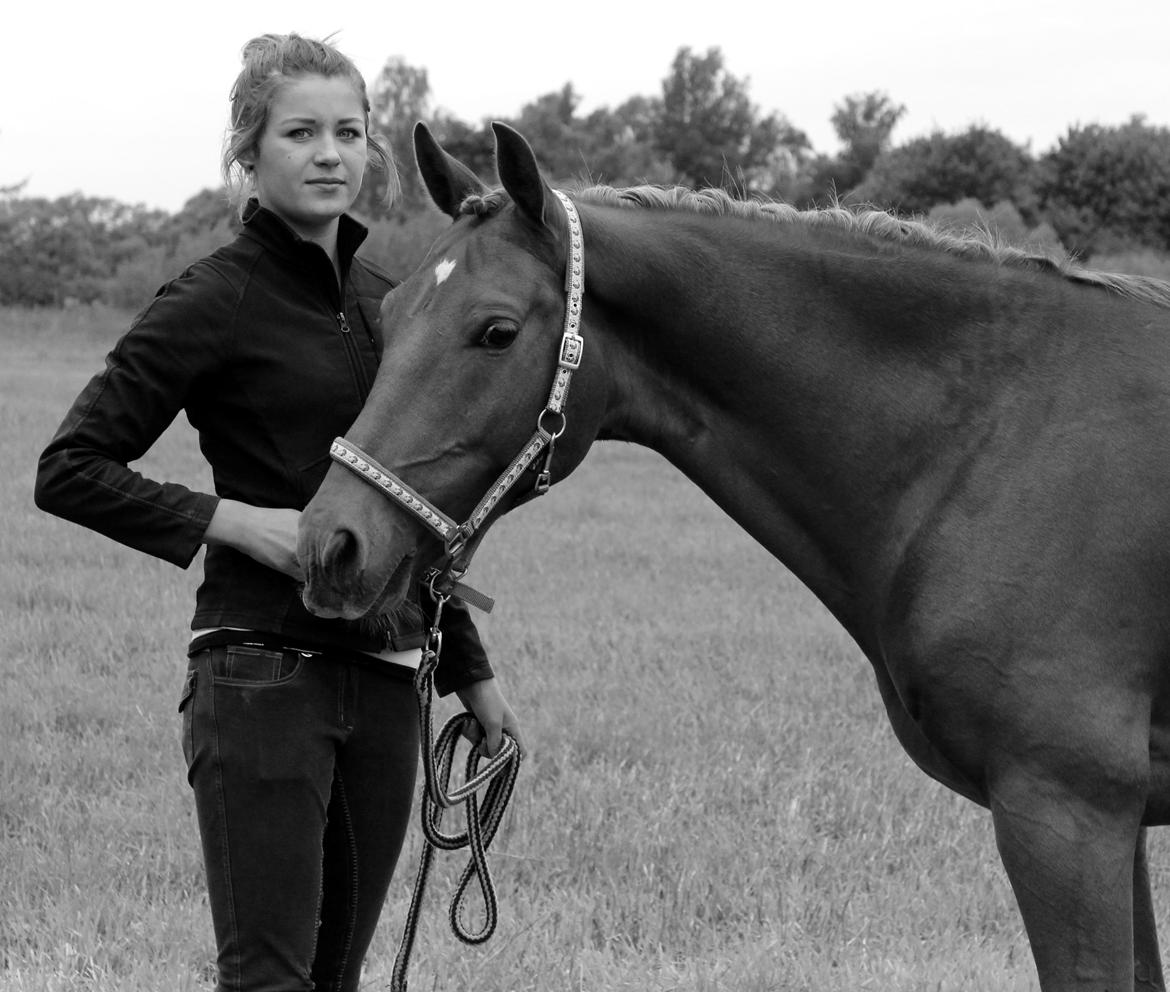 Tysk Sportspony Bacardi billede 16