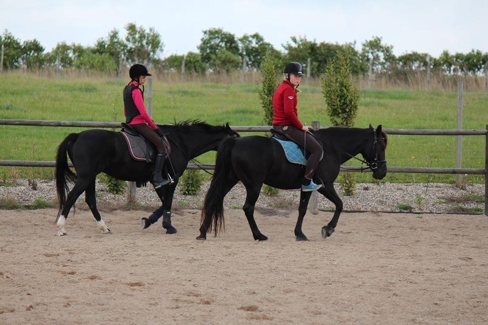 Anden særlig race Frøken Monik - Dollie og Monik :) billede 15