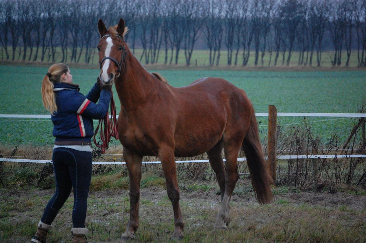Frederiksborg Lia Toftedal •RIP• billede 2