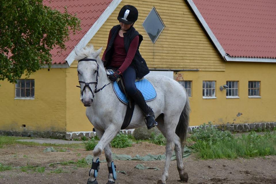 Anden særlig race Filuca billede 20