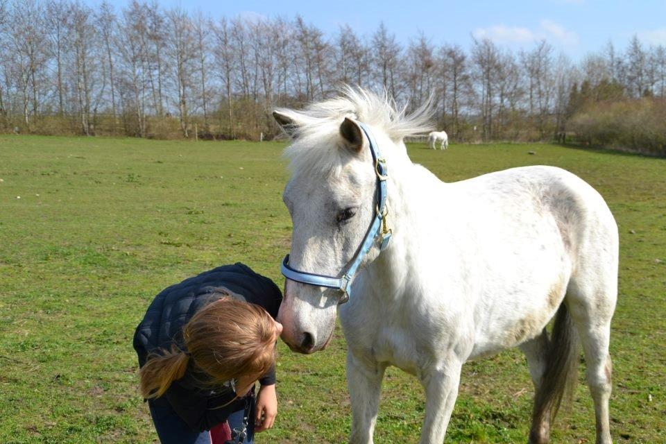 Anden særlig race Filuca - Min skat <3 billede 27