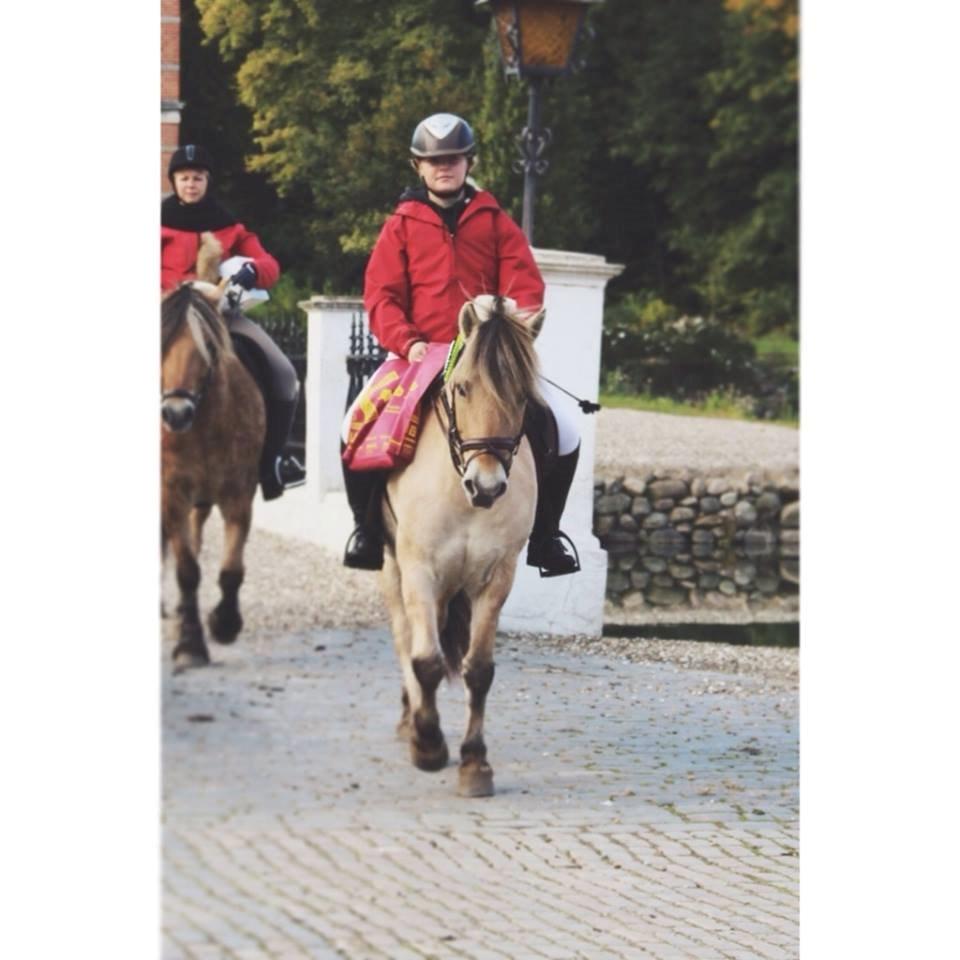 Fjordhest BG Gandalf (Fyns/klub mester!<3<3) :-* billede 22