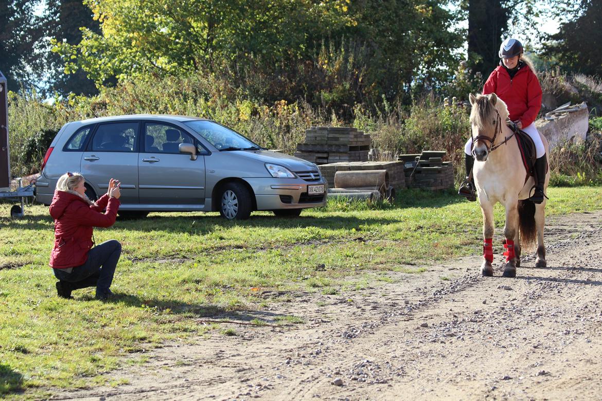 Fjordhest BG Gandalf (Fyns/klub mester!<3<3) :-* billede 36