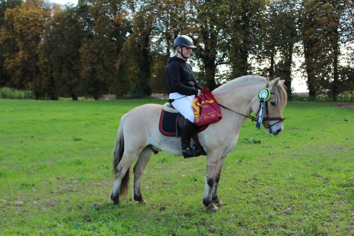 Fjordhest BG Gandalf (Fyns/klub mester!<3<3) :-* billede 37