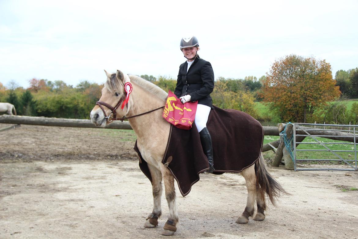 Fjordhest BG Gandalf (Fyns/klub mester!<3<3) :-* billede 38