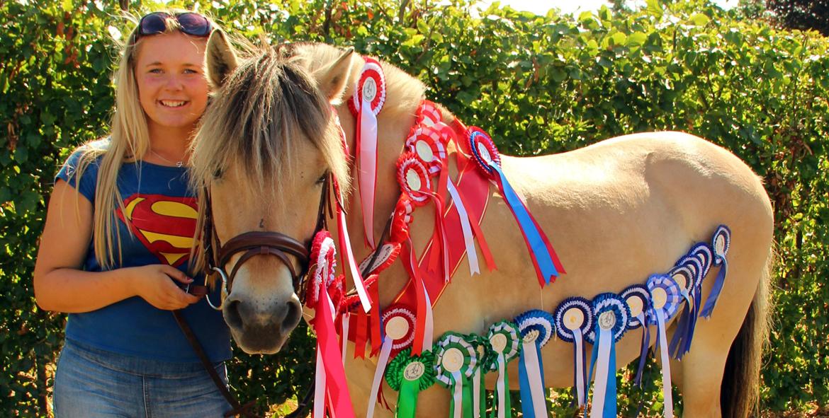 Fjordhest BG Gandalf (Fyns/klub mester!<3<3) :-* billede 41