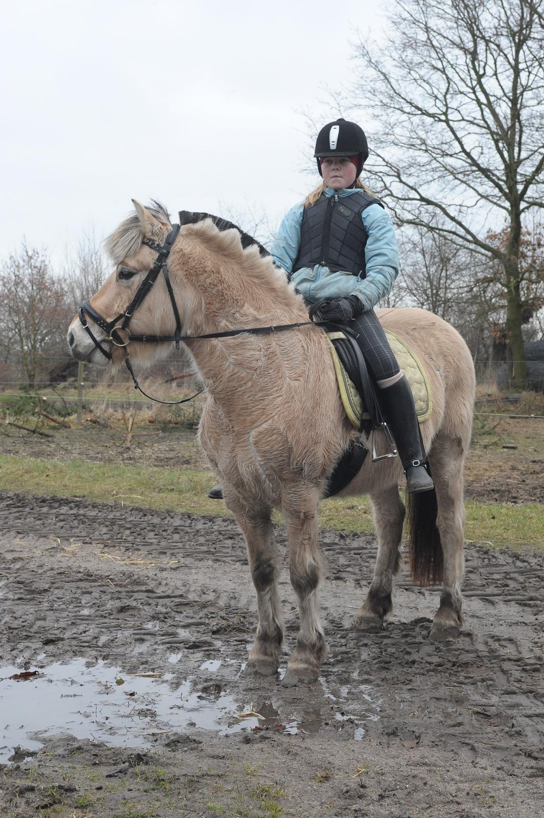 Fjordhest BG Gandalf (Fyns/klub mester!<3<3) :-* billede 42