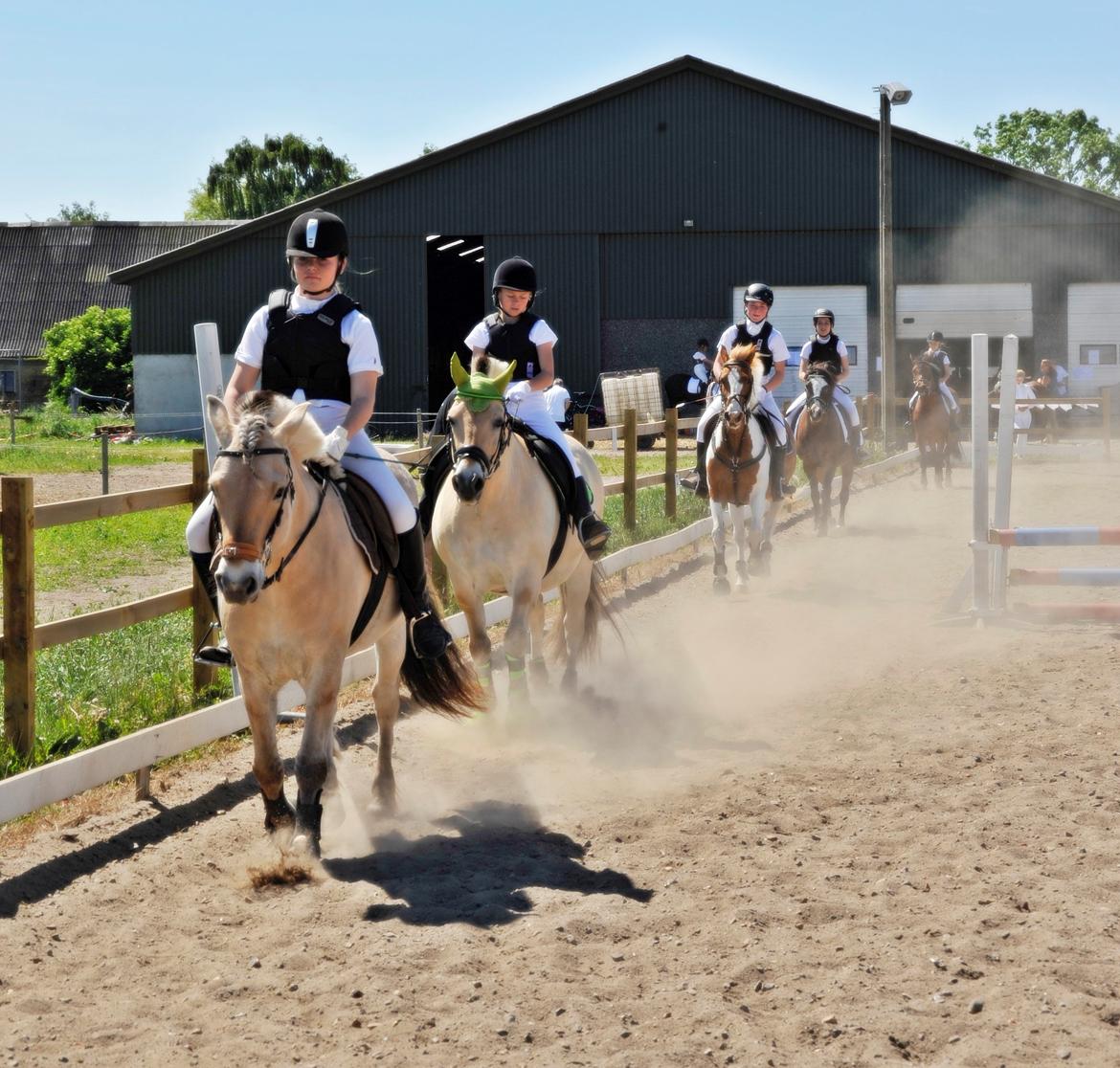 Fjordhest BG Gandalf (Fyns/klub mester!<3<3) :-* billede 43