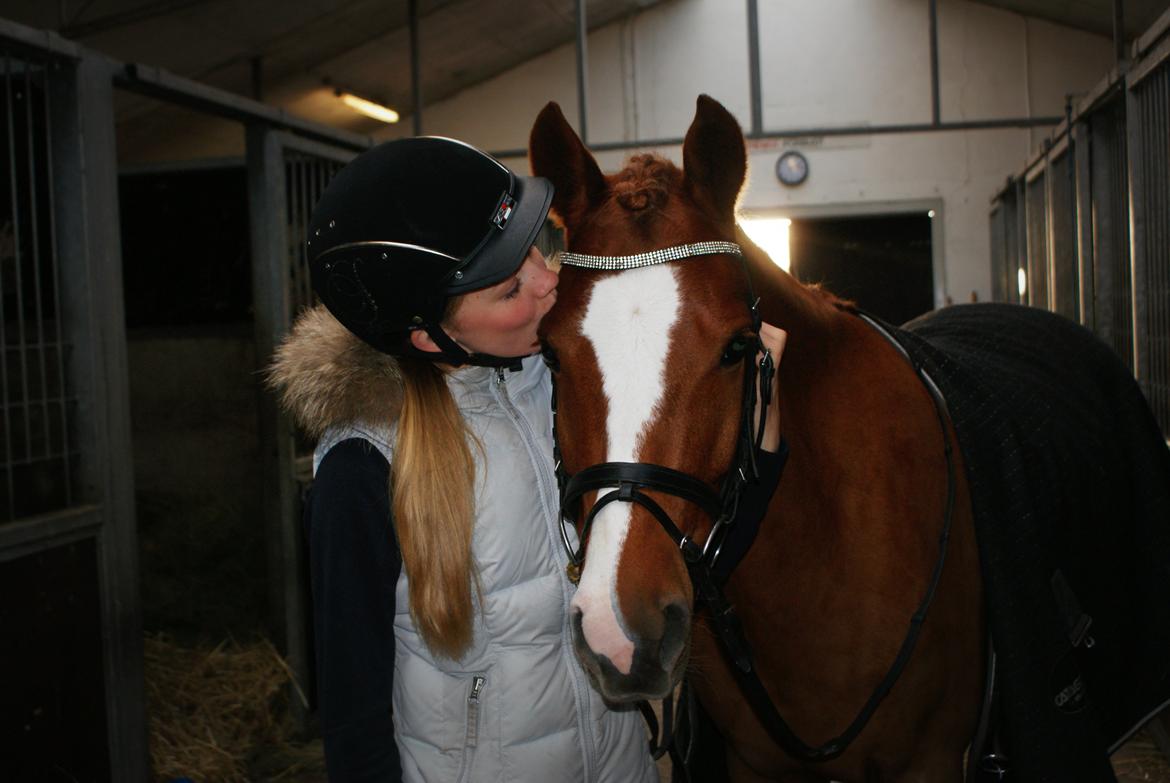 DSP Møgelvangs Ja'dore billede 8