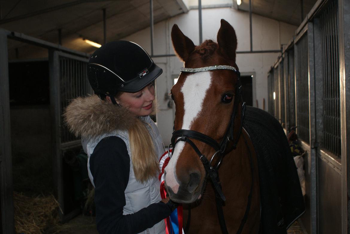 DSP Møgelvangs Ja'dore billede 12