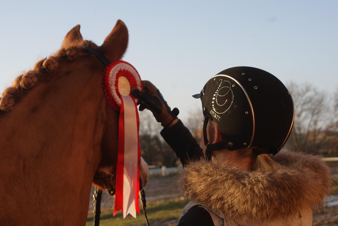 DSP Møgelvangs Ja'dore billede 3