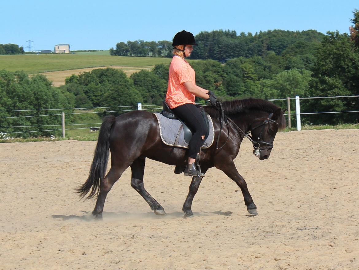 Anden særlig race spirit billede 2