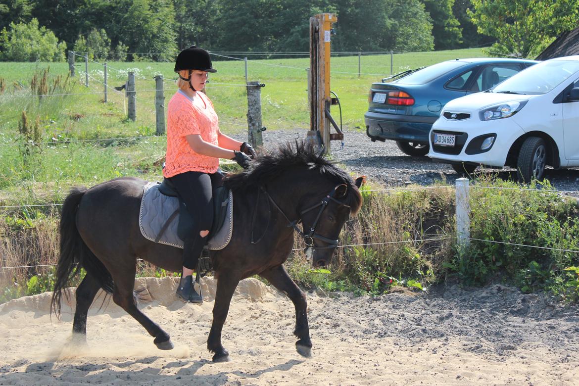 Anden særlig race spirit billede 5