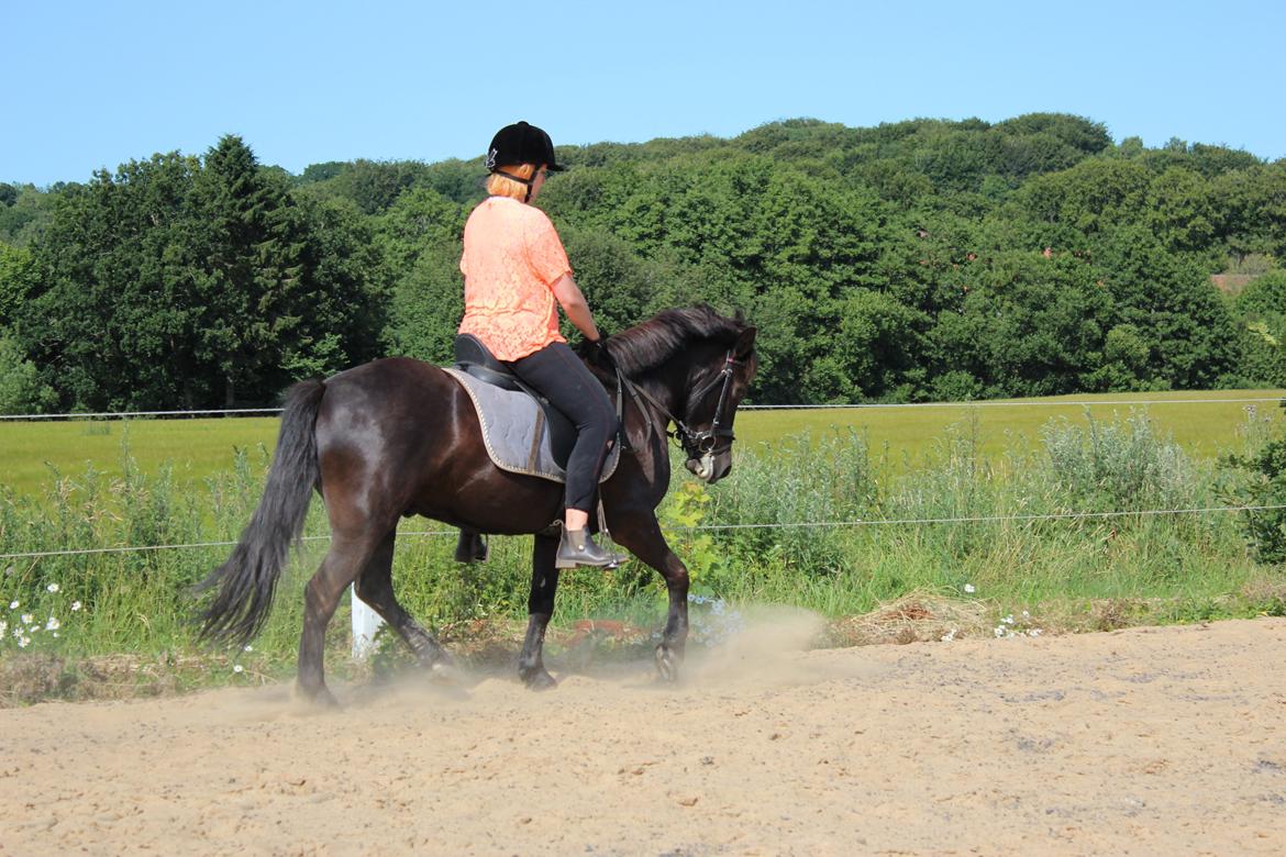 Anden særlig race spirit billede 17