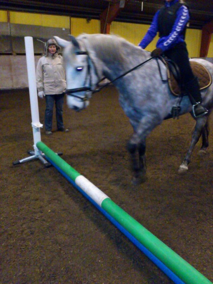 Connemara Blue Rossi (tid. part) billede 12